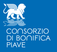 Piavelogo.png