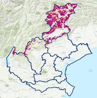 WebGIS valanghe